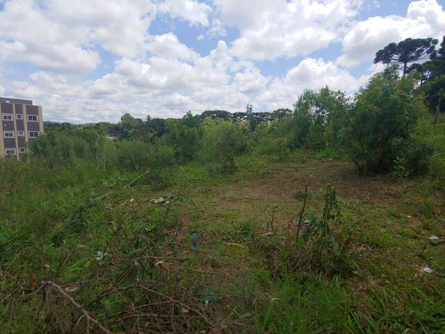 Terreno para Venda em Almirante Tamandaré - 5