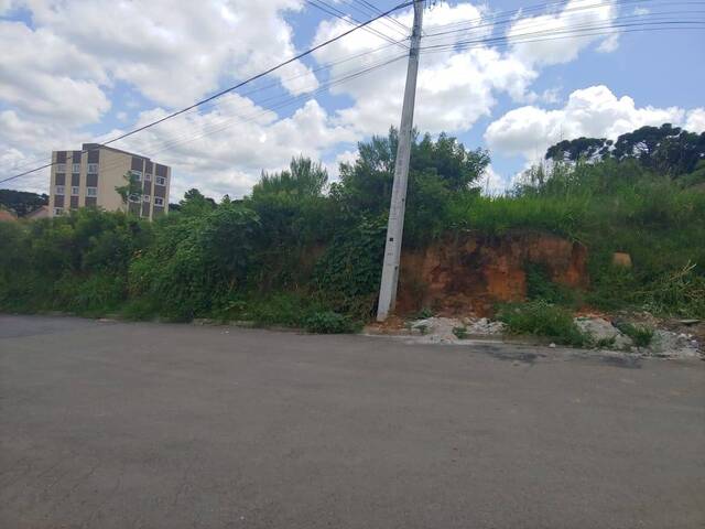Terreno para Venda em Almirante Tamandaré - 4