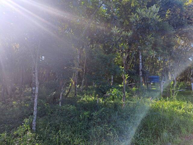 Área para Venda em Almirante Tamandaré - 4