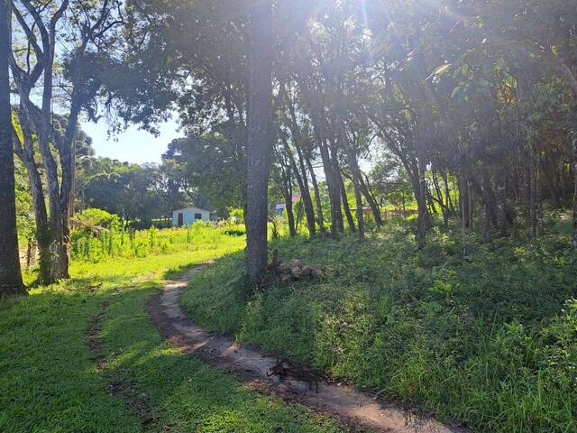 Área para Venda em Almirante Tamandaré - 5