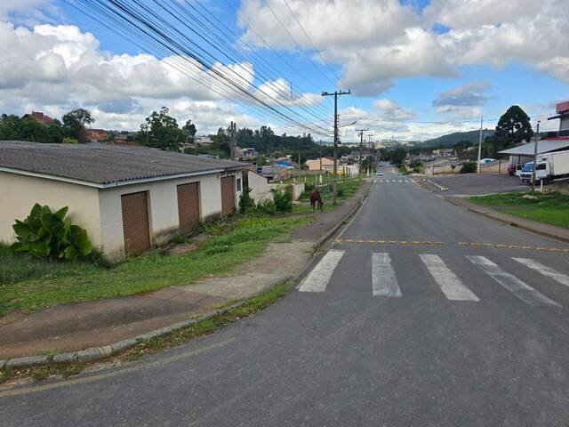 Terreno para Venda em Almirante Tamandaré - 5