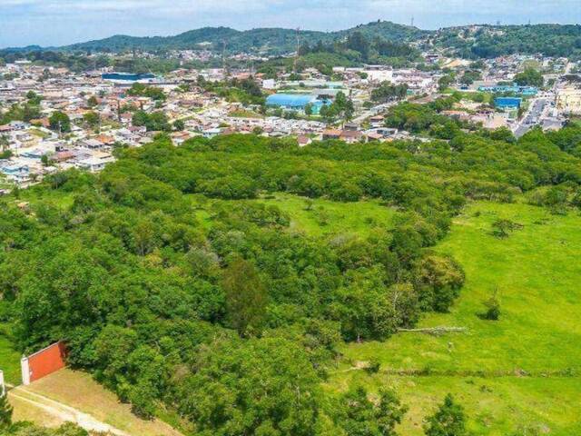 Terreno para Venda em Almirante Tamandaré - 4