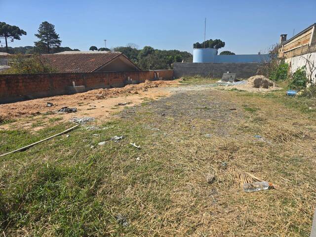 Terreno para Venda em Almirante Tamandaré - 5