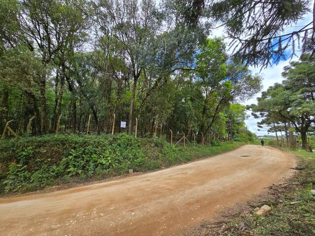 #000340 - Terreno para Venda em Almirante Tamandaré - PR - 3