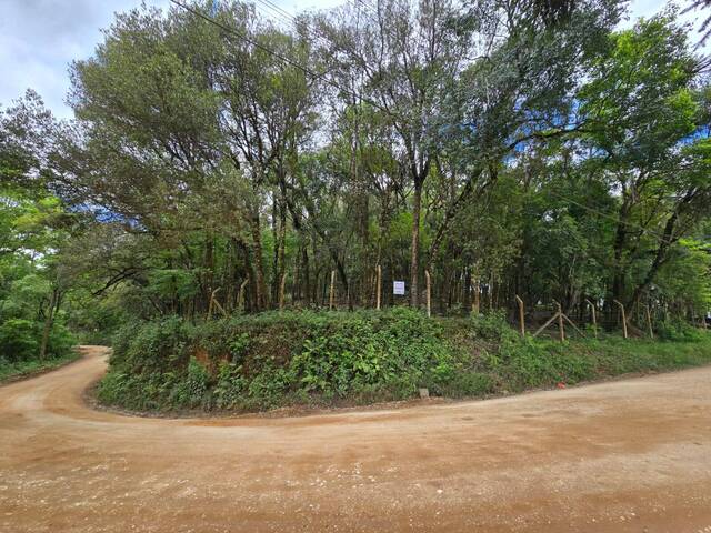 #000340 - Terreno para Venda em Almirante Tamandaré - PR - 2