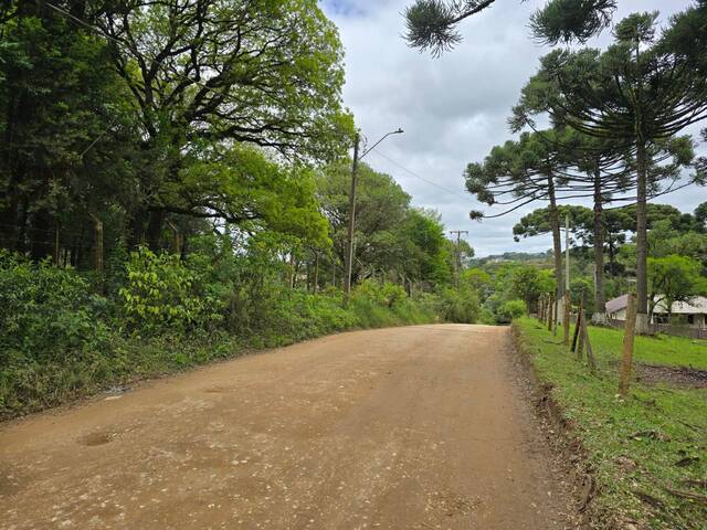 Terreno para Venda em Almirante Tamandaré - 4