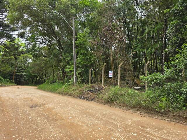 Terreno para Venda em Almirante Tamandaré - 5