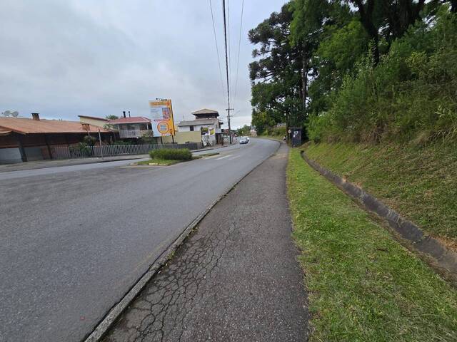 Área para Venda em Almirante Tamandaré - 4