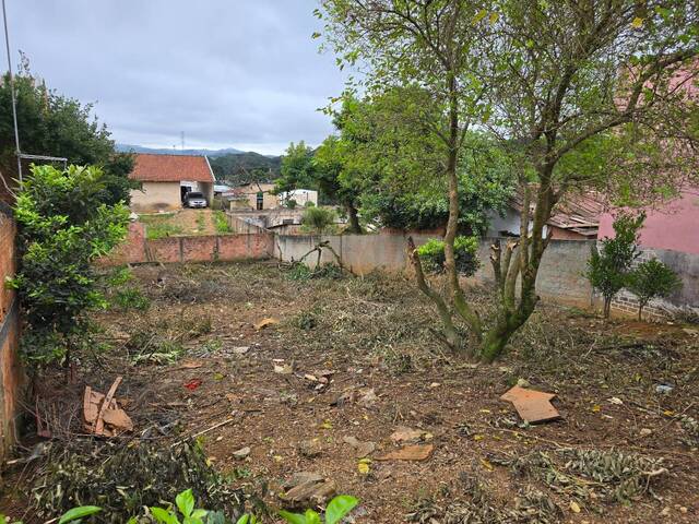 #000370 - Área para Venda em Almirante Tamandaré - PR - 2