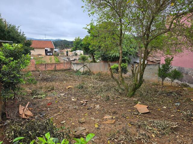 #000370 - Área para Venda em Almirante Tamandaré - PR - 3