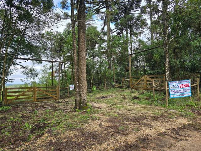 Chácara para Venda em Almirante Tamandaré - 4