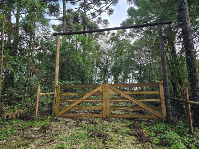 #000375 - Chácara para Venda em Almirante Tamandaré - PR - 2