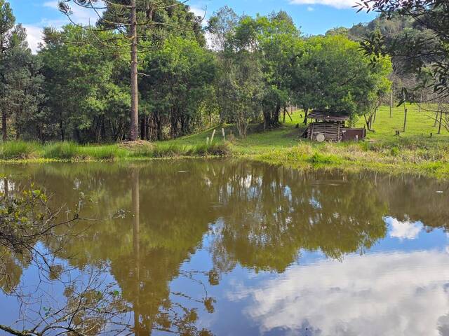 Chácara para Venda em Almirante Tamandaré - 4